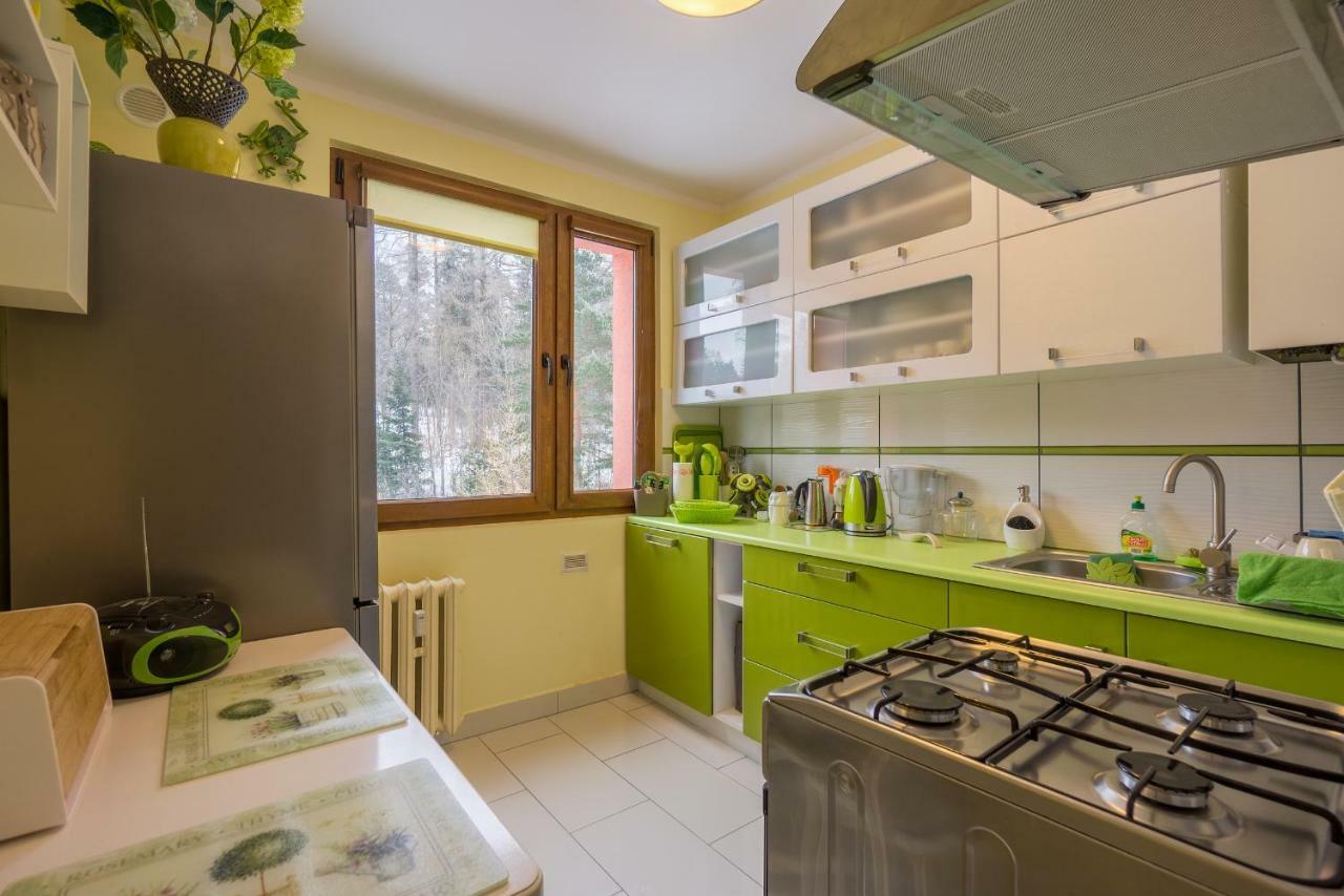 Apartament Sniezna Sowa Szklarska Poręba Kültér fotó